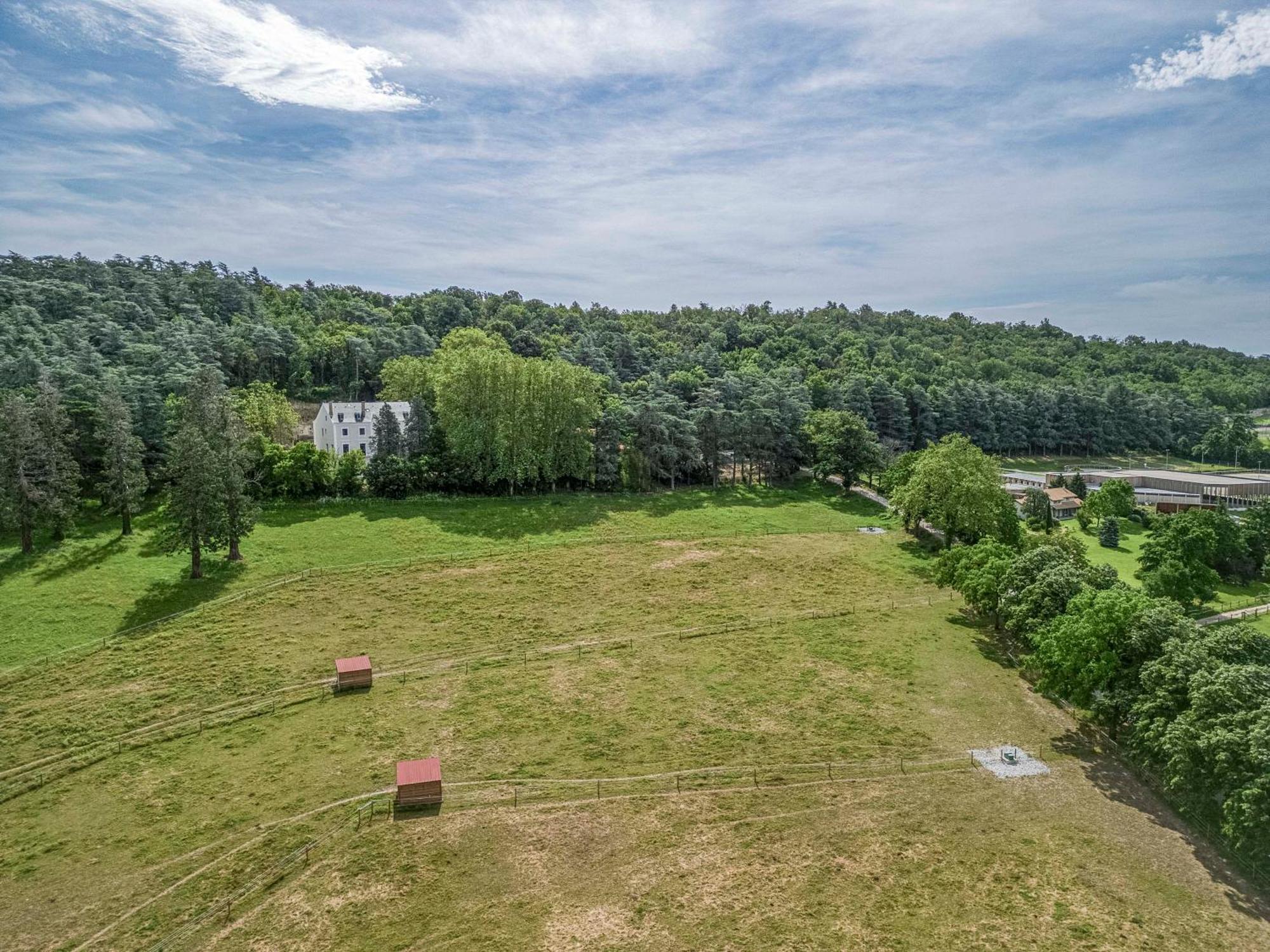 1 - Grand Appartement Spacieux Dans Un Chateau Du 17Eme Siecle, A 15Min De Lyon Vourles Exteriör bild